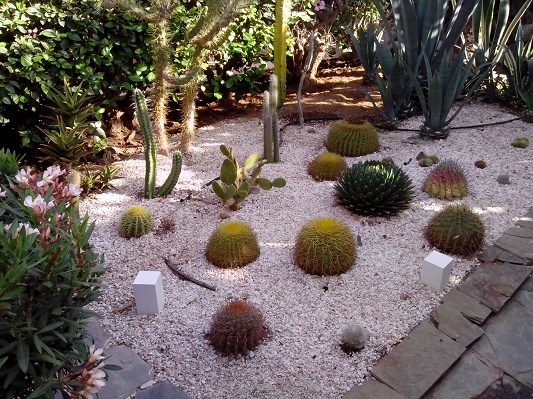 COMMISSAIRE GOUTTE 1