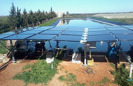 Pompe-solaire-à-Marrakech